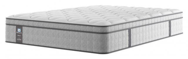 Sealy chadwick twin deals mattress